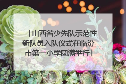 山西省少先队示范性新队员入队仪式在临汾市第一小学圆满举行