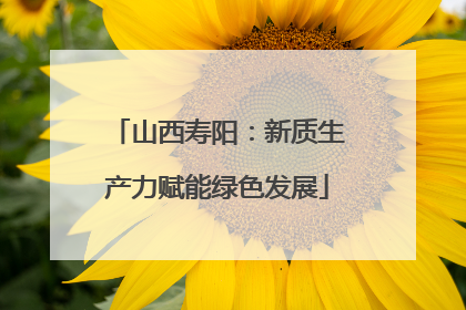 山西寿阳：新质生产力赋能绿色发展