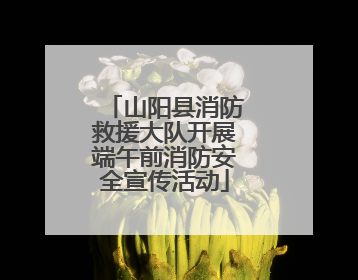 山阳县消防救援大队开展端午前消防安全宣传活动