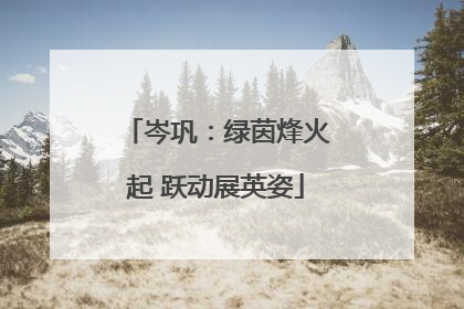 岑巩:绿茵烽火起 跃动展英姿