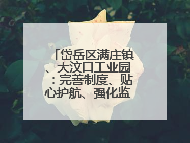 岱岳区满庄镇、大汶口工业园：完善制度、贴心护航、强化监管，打造优质营商“强磁场”