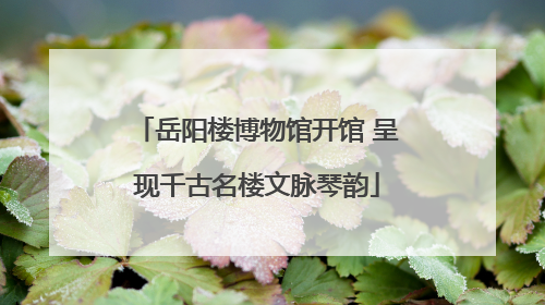 岳阳楼博物馆开馆 呈现千古名楼文脉琴韵