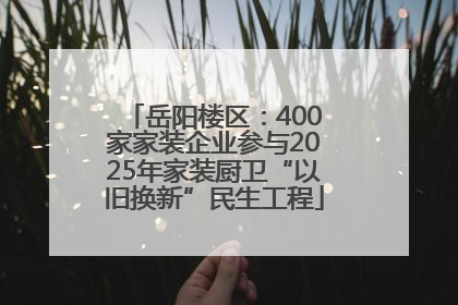 岳阳楼区：400家家装企业参与2025年家装厨卫“以旧换新”民生工程