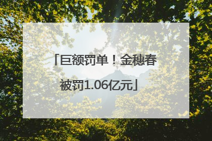 巨额罚单！金穗春被罚1.06亿元