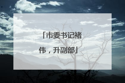 市委书记褚伟，升副部