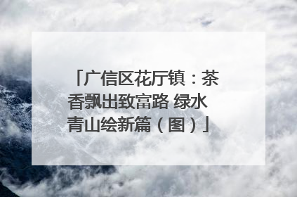 广信区花厅镇：茶香飘出致富路 绿水青山绘新篇（图）