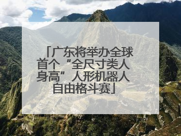 广东将举办全球首个“全尺寸类人身高”人形机器人自由格斗赛