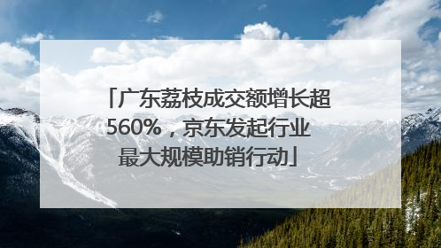 广东荔枝成交额增长超560%，京东发起行业最大规模助销行动