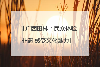 广西田林：民众体验非遗 感受文化魅力