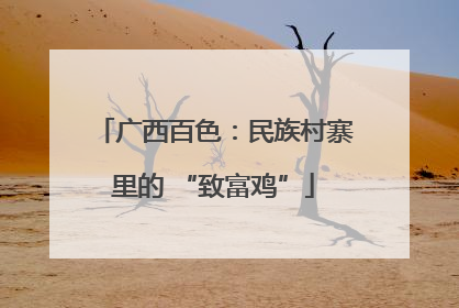 广西百色：民族村寨里的 “致富鸡”