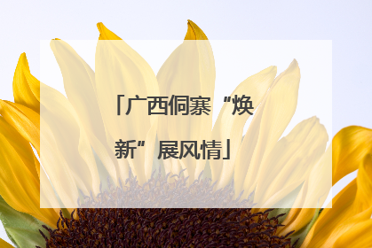 广西侗寨“焕新”展风情