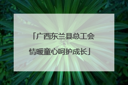 广西东兰县总工会情暖童心呵护成长