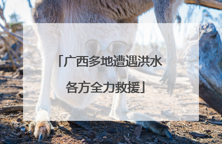广西多地遭遇洪水 各方全力救援