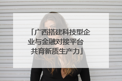广西搭建科技型企业与金融对接平台 共育新质生产力