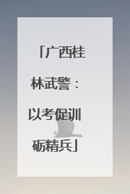 广西桂林武警：以考促训砺精兵