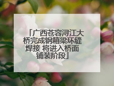 广西苍容浔江大桥完成钢箱梁环缝焊接 将进入桥面铺装阶段