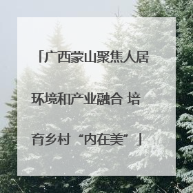 广西蒙山聚焦人居环境和产业融合 培育乡村“内在美”
