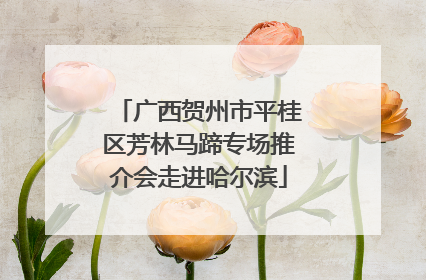 广西贺州市平桂区芳林马蹄专场推介会走进哈尔滨