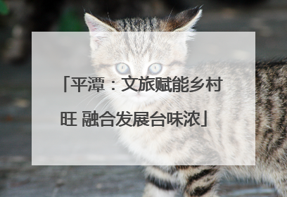 平潭：文旅赋能乡村旺 融合发展台味浓