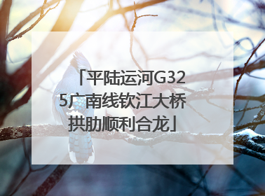 平陆运河G325广南线钦江大桥拱肋顺利合龙