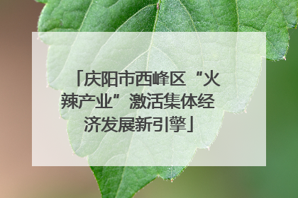 庆阳市西峰区“火辣产业”激活集体经济发展新引擎