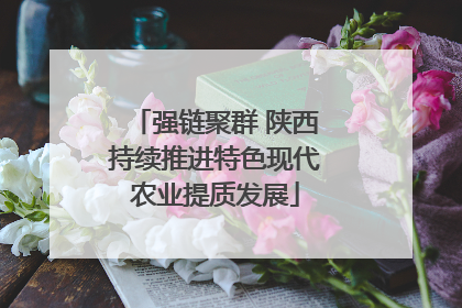 强链聚群 陕西持续推进特色现代农业提质发展