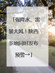 强降水、雷暴大风！陕西多地同时发布预警→