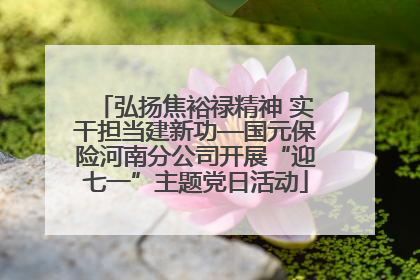 弘扬焦裕禄精神 实干担当建新功—国元保险河南分公司开展“迎七一”主题党日活动