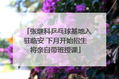 张继科乒乓球基地入驻临安 下月开始招生将亲自带班授课