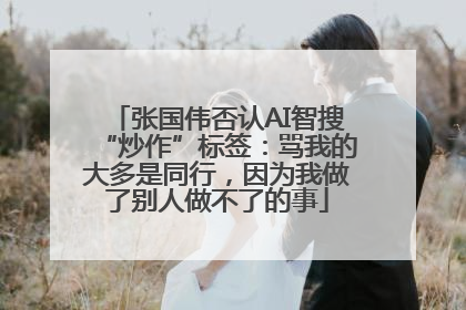 张国伟否认AI智搜“炒作”标签：骂我的大多是同行，因为我做了别人做不了的事