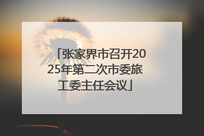 张家界市召开2025年第二次市委旅工委主任会议