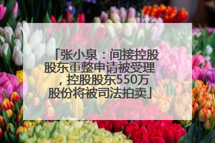 张小泉：间接控股股东重整申请被受理，控股股东550万股份将被司法拍卖