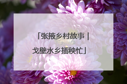 张掖乡村故事｜戈壁水乡插秧忙