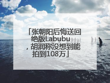 张朝阳后悔送回绝版Labubu，胡润称没想到能拍到108万