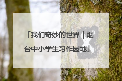 我们奇妙的世界｜烟台中小学生习作园地