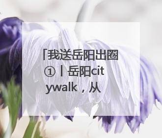 我送岳阳出圈①丨岳阳citywalk，从这条千年老街开始！