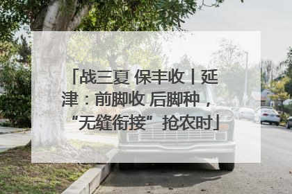 战三夏 保丰收丨延津：前脚收 后脚种，“无缝衔接”抢农时