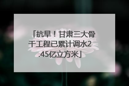 抗旱！甘肃三大骨干工程已累计调水2.45亿立方米