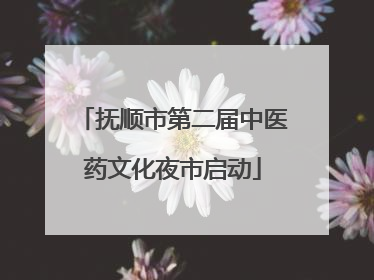 抚顺市第二届中医药文化夜市启动