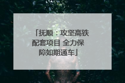 抚顺：攻坚高铁配套项目 全力保障如期通车