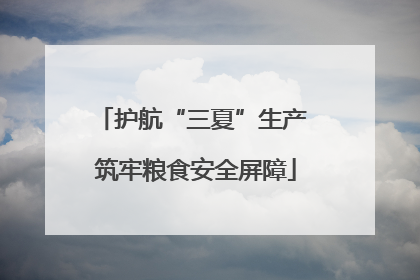 护航“三夏”生产 筑牢粮食安全屏障