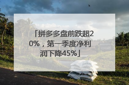 拼多多盘前跌超20%，第一季度净利润下降45%