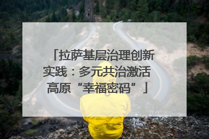拉萨基层治理创新实践：多元共治激活高原“幸福密码”