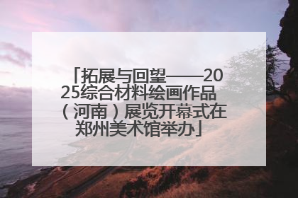 拓展与回望——2025综合材料绘画作品（河南）展览开幕式在郑州美术馆举办
