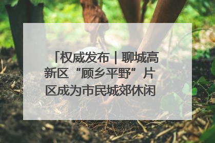 权威发布｜聊城高新区“顾乡平野”片区成为市民城郊休闲全新目的地
