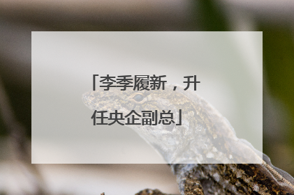 李季履新，升任央企副总