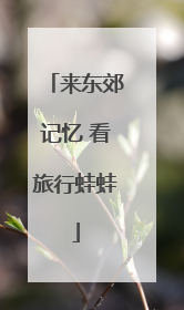 来东郊记忆 看旅行蛙蛙