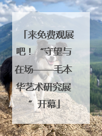来免费观展吧！“守望与在场——毛本华艺术研究展”开幕