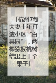 杭州7旬夫妻十年打造小区“百果园”，两棵猕猴桃树结出上千个果子
