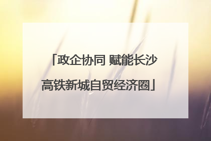 政企协同 赋能长沙高铁新城自贸经济圈